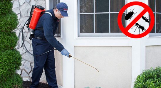 Erenler Kemirgen İlaçlama böcek ilaçlama ve haşere kontrolü — ilaclama-tr.com